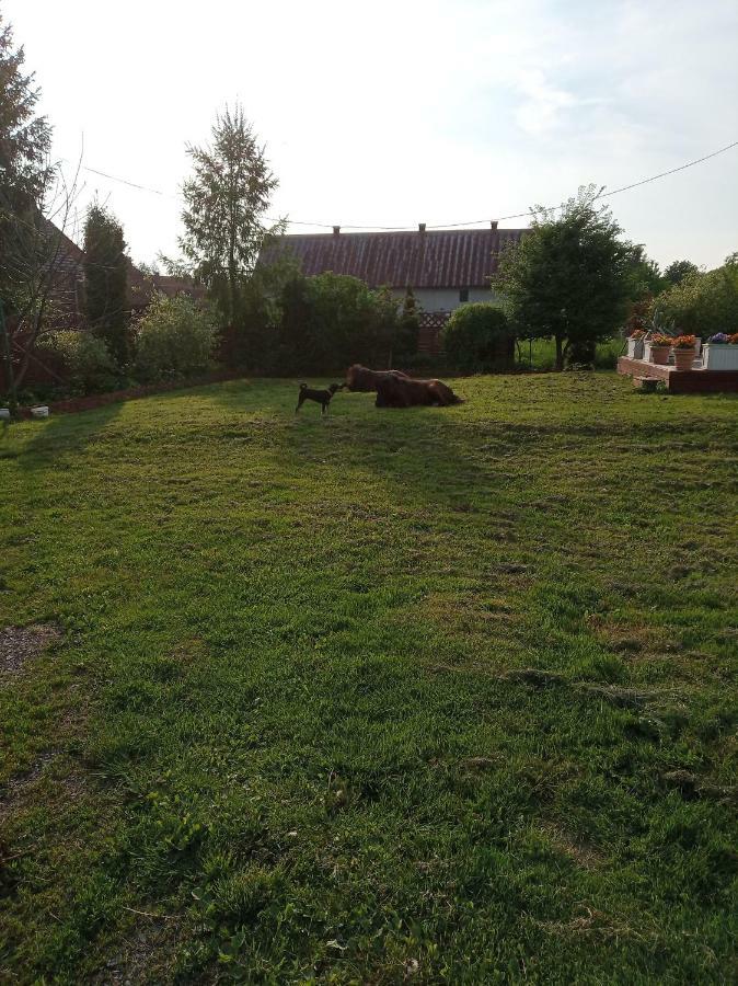 B&B Zrodlana 46 Olszyna  Exteriör bild