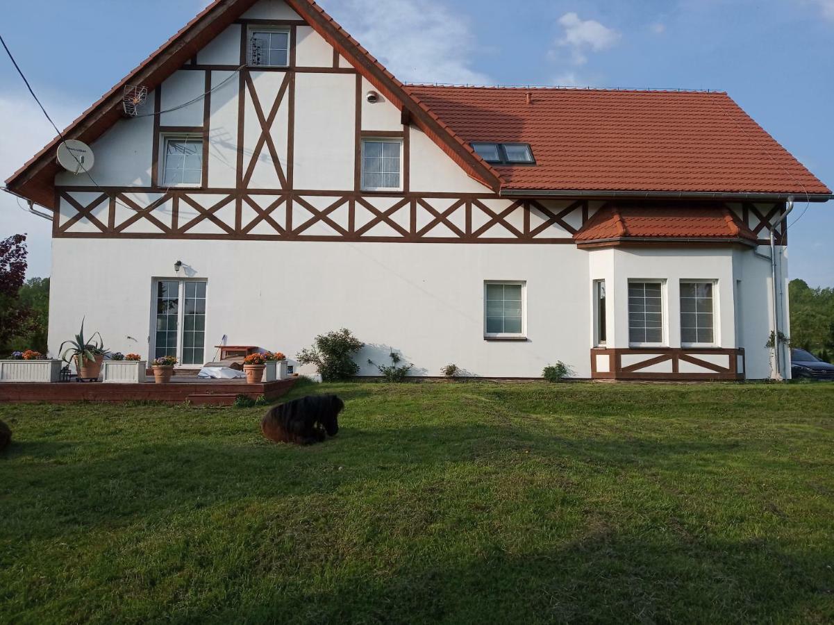 B&B Zrodlana 46 Olszyna  Exteriör bild